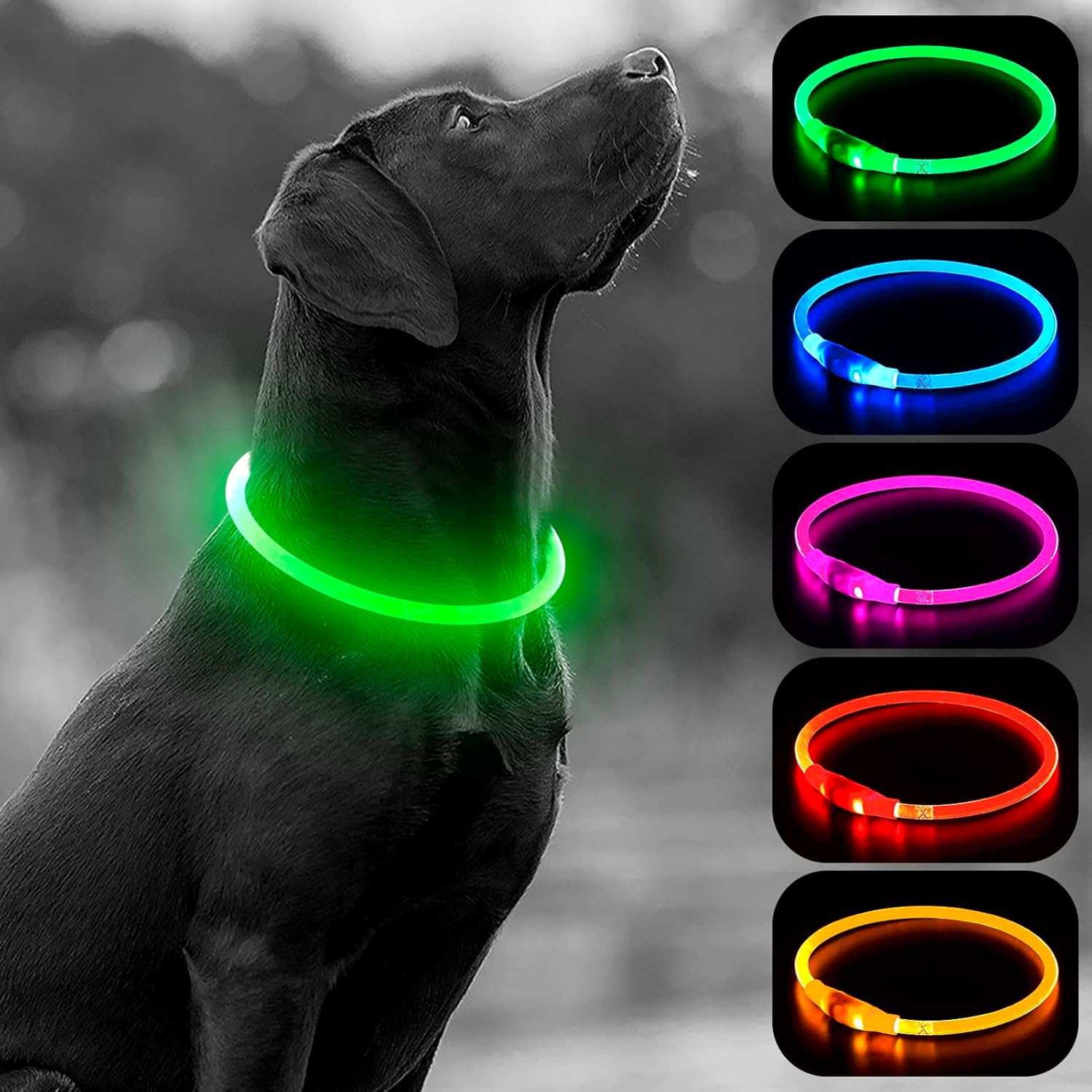 USB Rechargeable LED Dog Collar with Adjustable TPU Design for Enhanced Nighttime Visibility (Green)