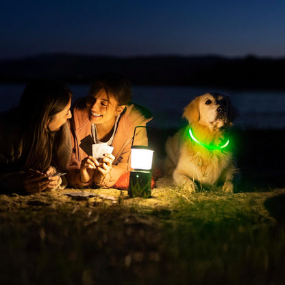 USB Rechargeable LED Dog Collar with Adjustable TPU Design for Enhanced Nighttime Visibility (Green)