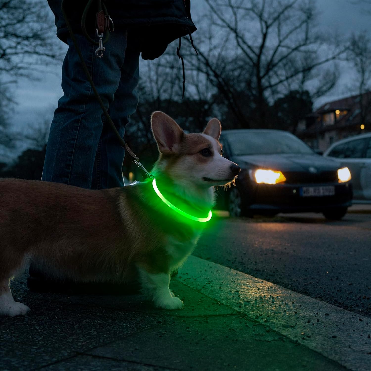 USB Rechargeable LED Dog Collar with Adjustable TPU Design for Enhanced Nighttime Visibility (Green)