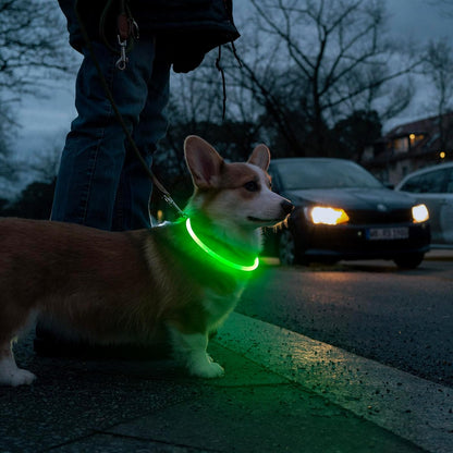 USB Rechargeable LED Dog Collar with Adjustable TPU Design for Enhanced Nighttime Visibility (Green)